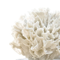 White resin ribbon coral replica on a clear crystal base, a sophisticated nature-inspired accessory.