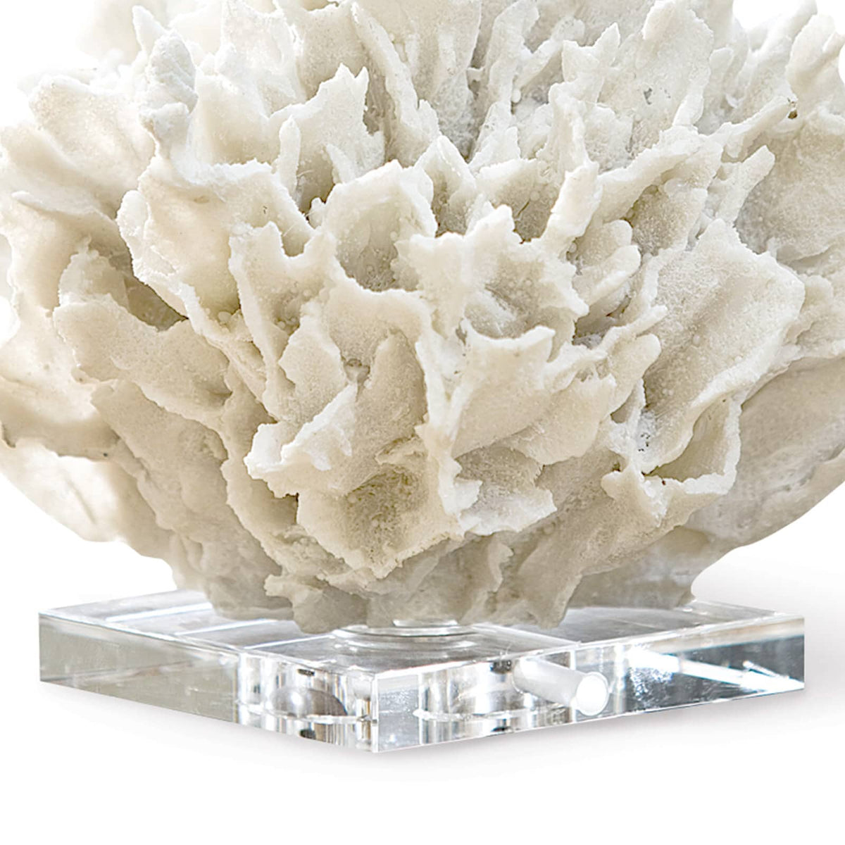 White resin ribbon coral replica on a clear crystal base, a sophisticated nature-inspired accent.