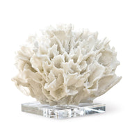 White resin ribbon coral replica on a clear crystal base, a sophisticated decorative accessory.