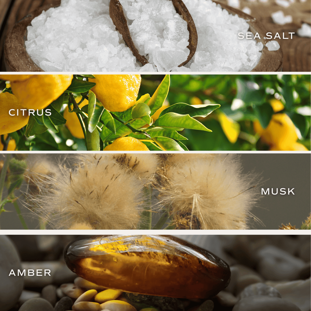 Salt and Sea Soy Candle - Blue Tinted Glass Jar - 12 oz