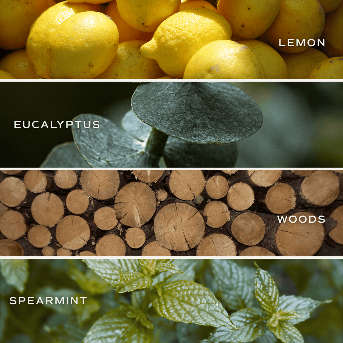 Stress Relief Blue Tinted Glass Jar Reed Diffuser