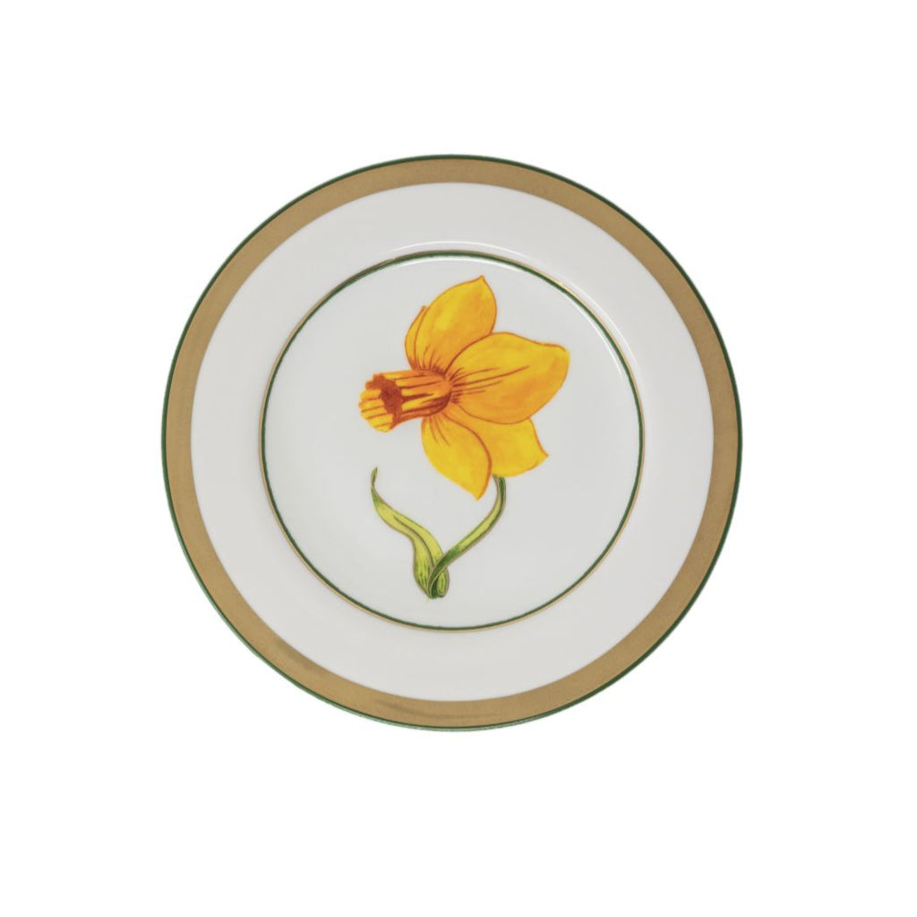 Maimie's Garden Daffodil Dinner Plate
