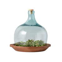 Demijohn Large Glass Cloche