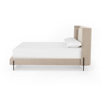 Danya Taupe Bed