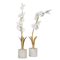 Thylane Orchid Sculpture - Upright and Curved Designs for Elegant Home Decor