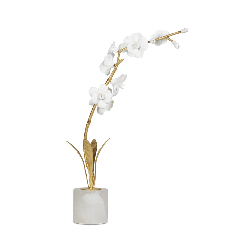 Thylane Orchid Sculpture - Upright and Curved Designs for Elegant Home Decor