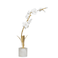 Thylane Orchid Sculpture - Upright and Curved Designs for Elegant Home Decor