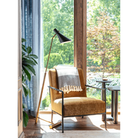 Spyder Brass Floor Lamp