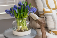 Bloom Vase with Removable White Base