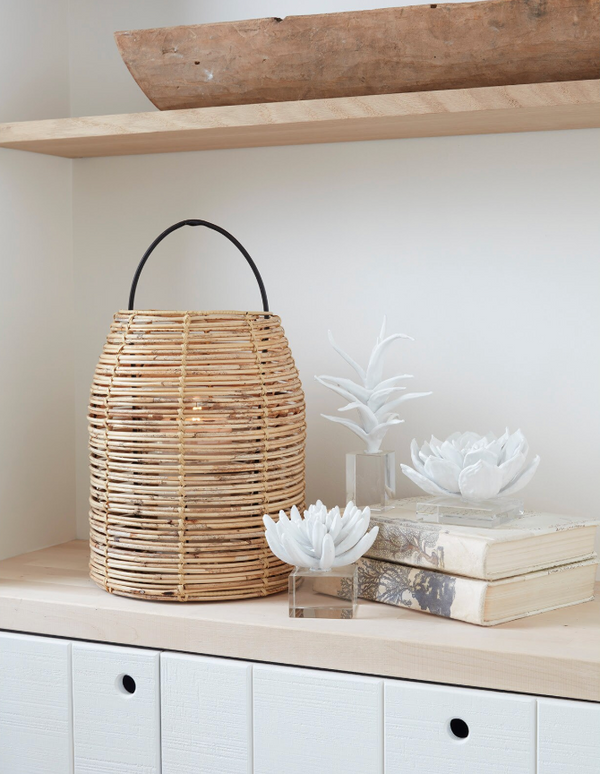 Succulent White & Acrylic Resin Sculpture