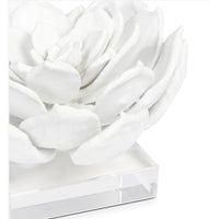 Succulent White & Acrylic Resin Sculpture - Close Up | Bone & Brass