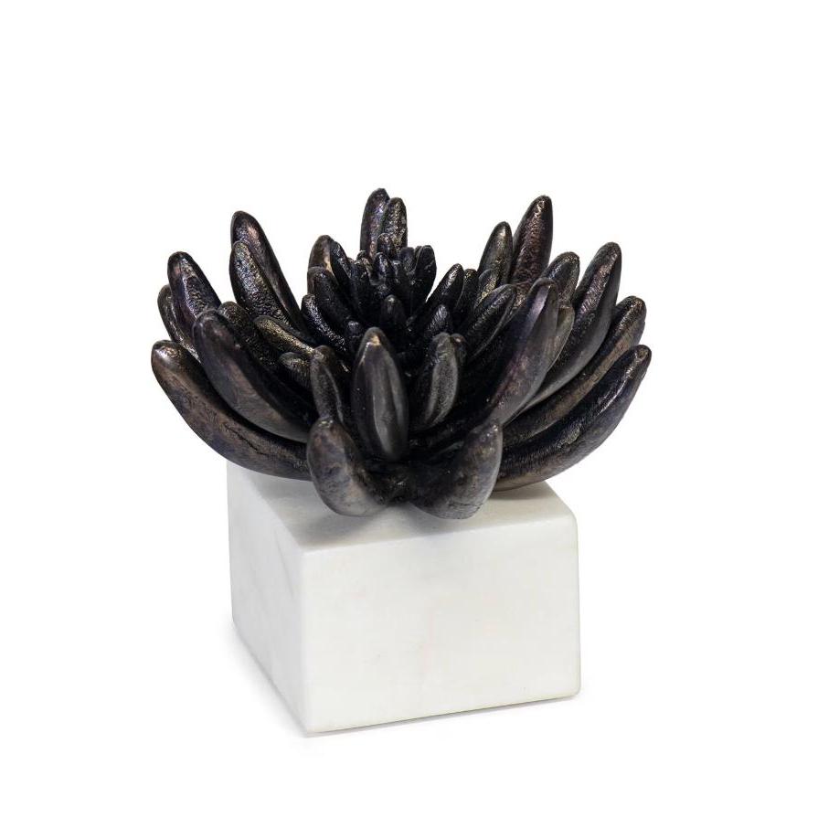 Succulent Sculpture 2 - Blackened Zinc | Bone & Brass
