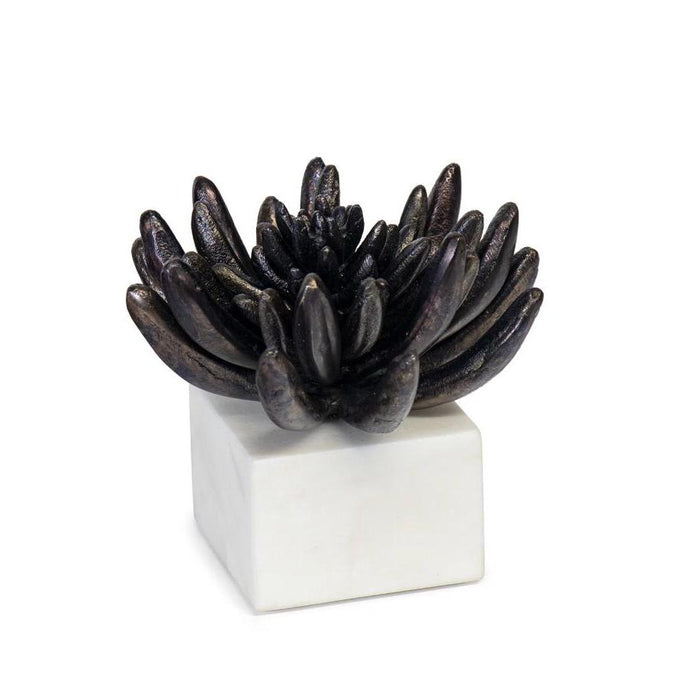 Succulent Sculpture 2 - Blackened Zinc | Bone & Brass