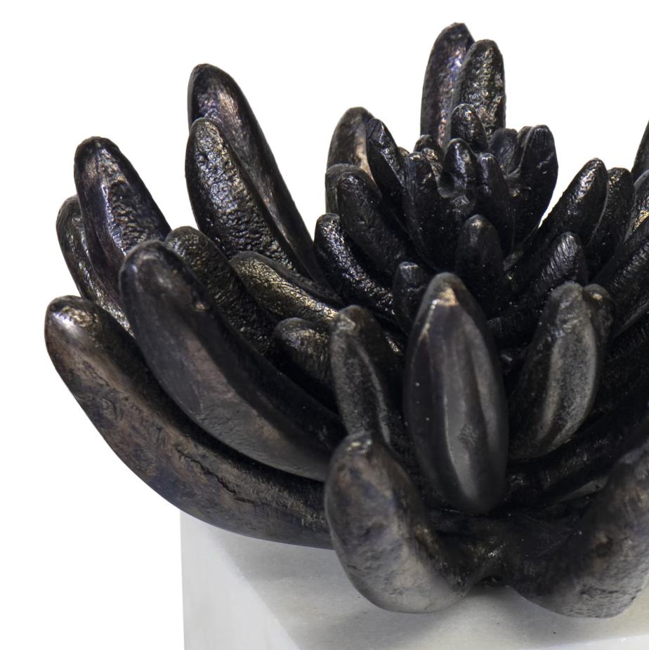 Succulent Sculpture 2 - Blackened Zinc - Detail View | Bone & Brass