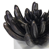 Succulent Sculpture 2 - Blackened Zinc - Detail View | Bone & Brass