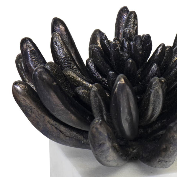 Succulent Sculpture 2 - Blackened Zinc - Detail View | Bone & Brass