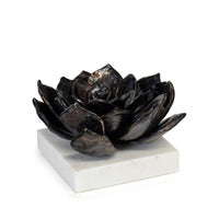 Succulent Sculpture 1 - Blackened Zinc | Bone & Brass