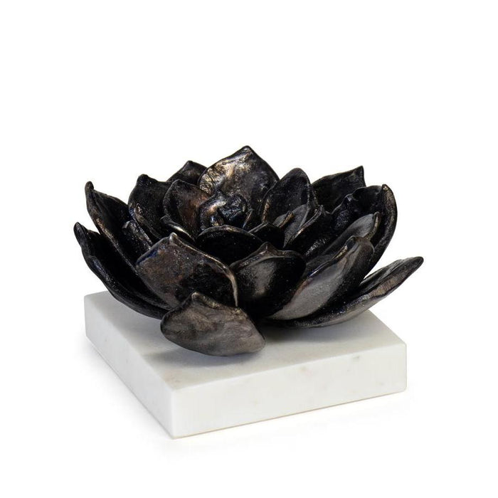 Succulent Sculpture 1 - Blackened Zinc | Bone & Brass