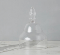 Glass Teardrop Cloche