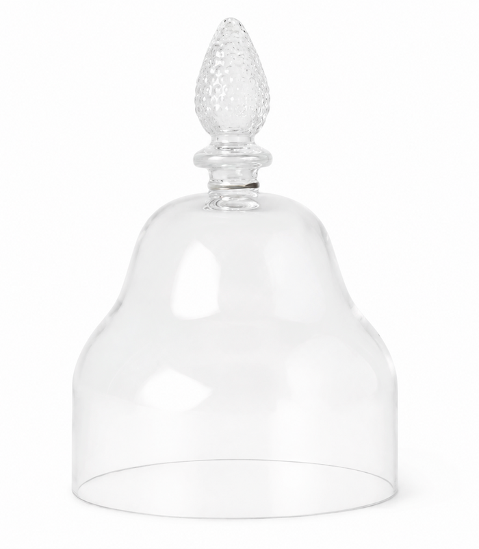 Glass Teardrop Cloche