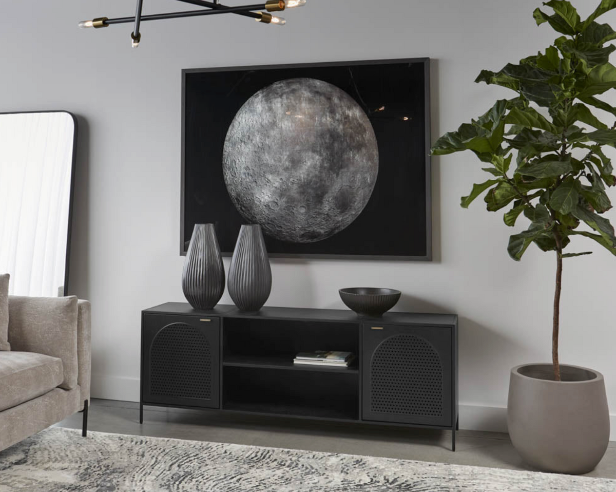 Aziza Black Metal & Brass Media Storage Cabinet