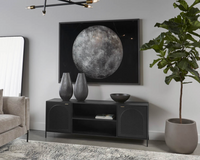 Aziza Black Metal & Brass Media Storage Cabinet