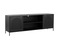 Aziza Black Metal & Brass Media Storage Cabinet