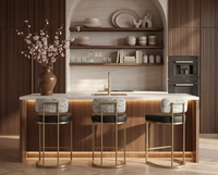 Larissa Bravo Black / Halton Birch Counter Stool