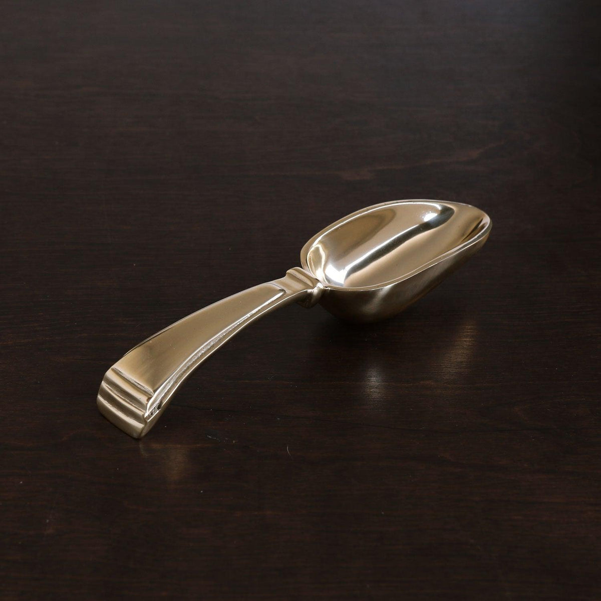 Sierra Modern Alejandra Ice Scoop (Gold) - Scoop Detail | Bone & Brass