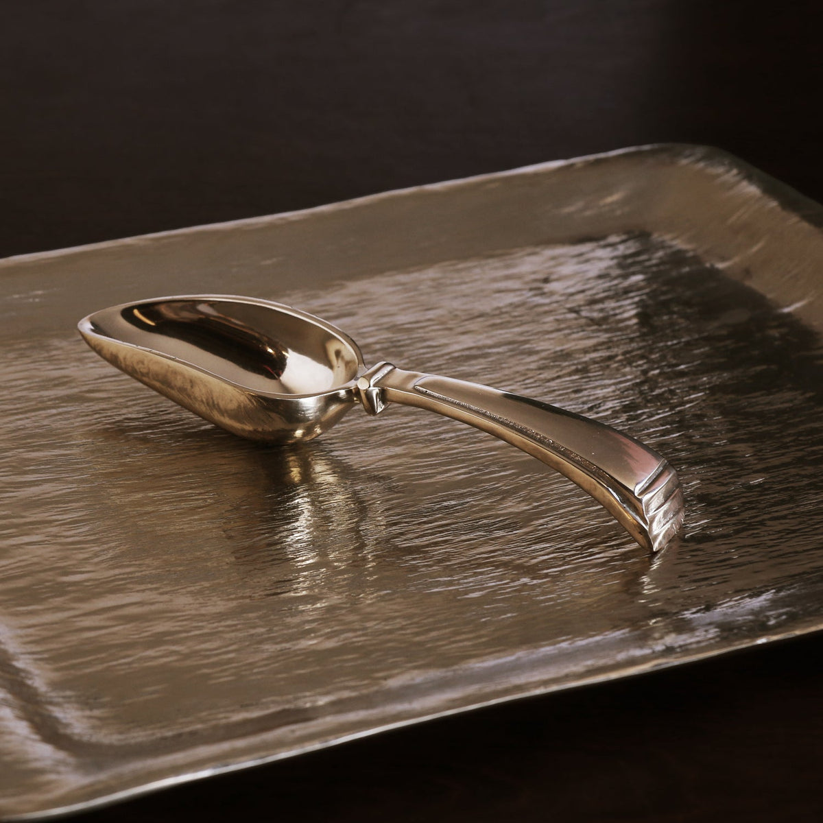 Sierra Modern Alejandra Ice Scoop (Gold) - Bucket Side View | Bone & Brass
