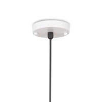 White gold Sigmund pendant light canopy with black cord.
