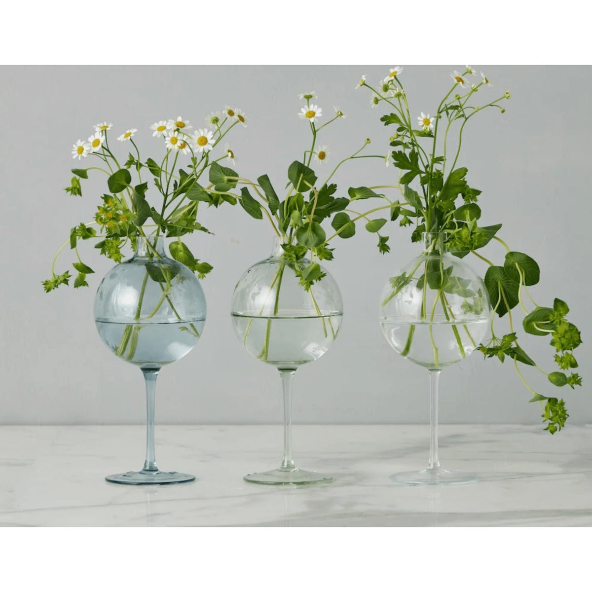 Three elegant glass wine glass vases with spherical tops, one sky blue, two clear, holding white daisies.