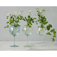Three elegant glass wine glass vases with spherical tops, one sky blue, two clear, holding white daisies.
