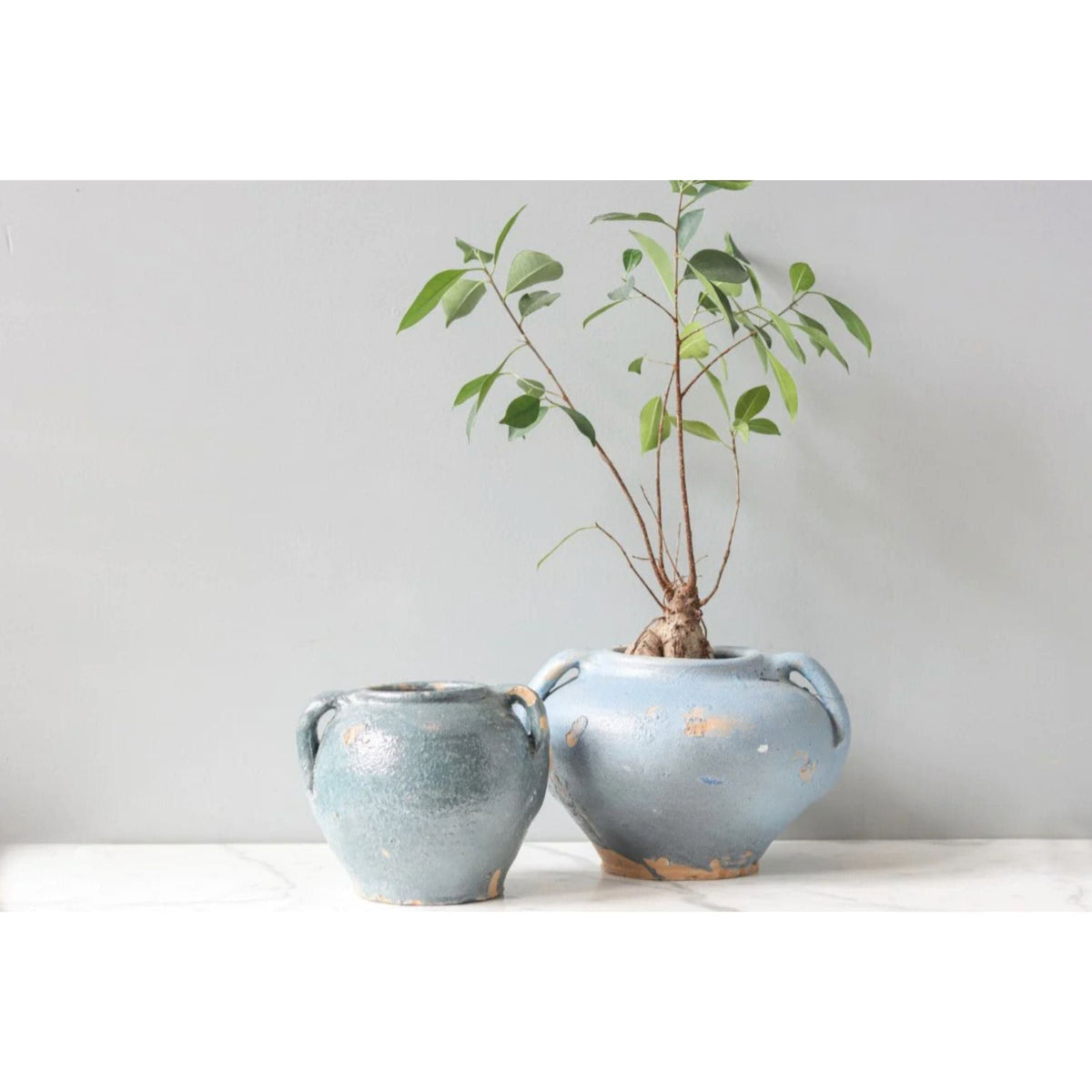 Two antique blue French clay pots, one small, one large with a plant, on a white marble surface.