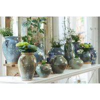 Collection of antique French clay pots in varying blue and green hues, some holding plants, on a white shelf.