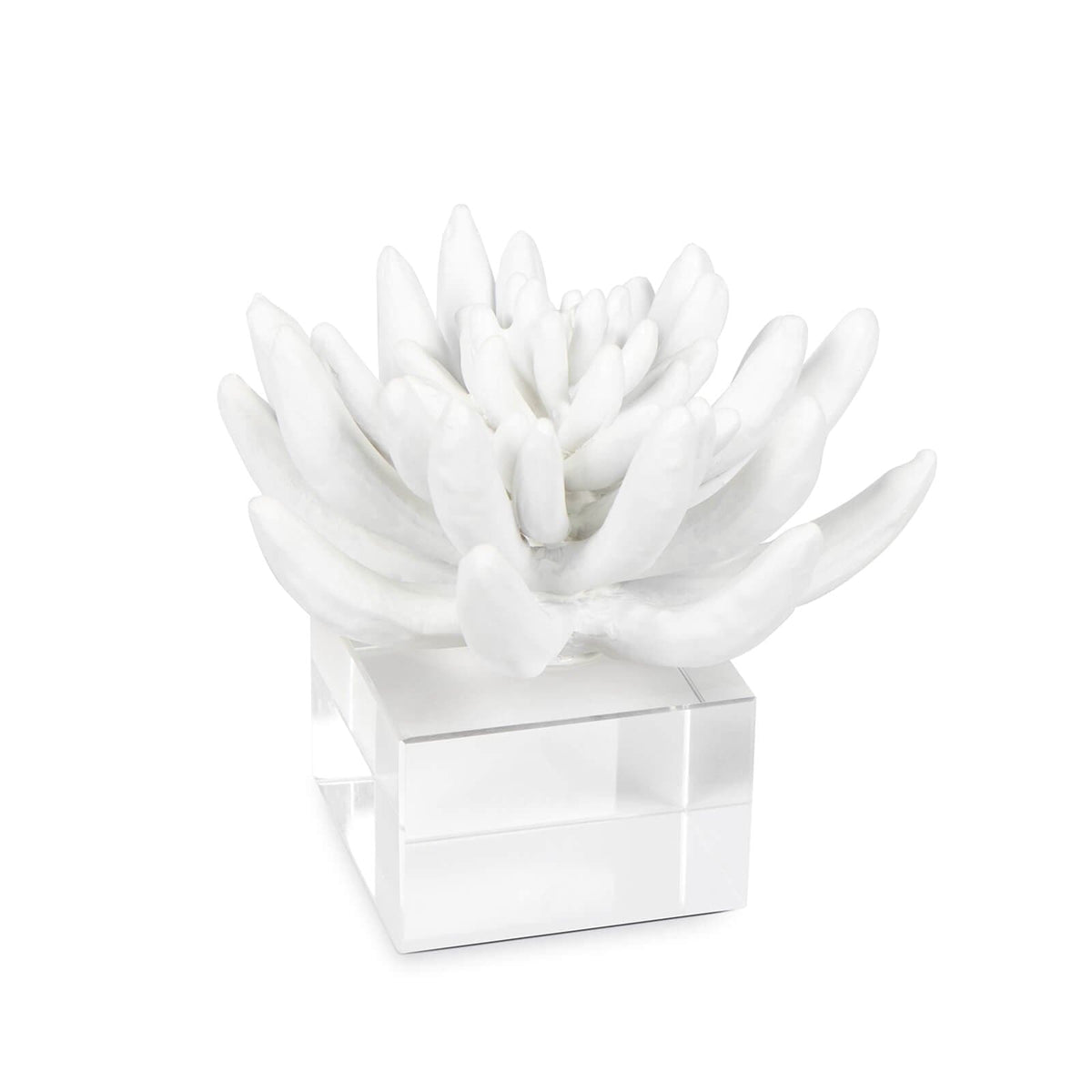 Matte white succulent resin sculpture on a clear acrylic crystal base.