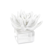 Matte white succulent resin sculpture on a clear acrylic crystal base.