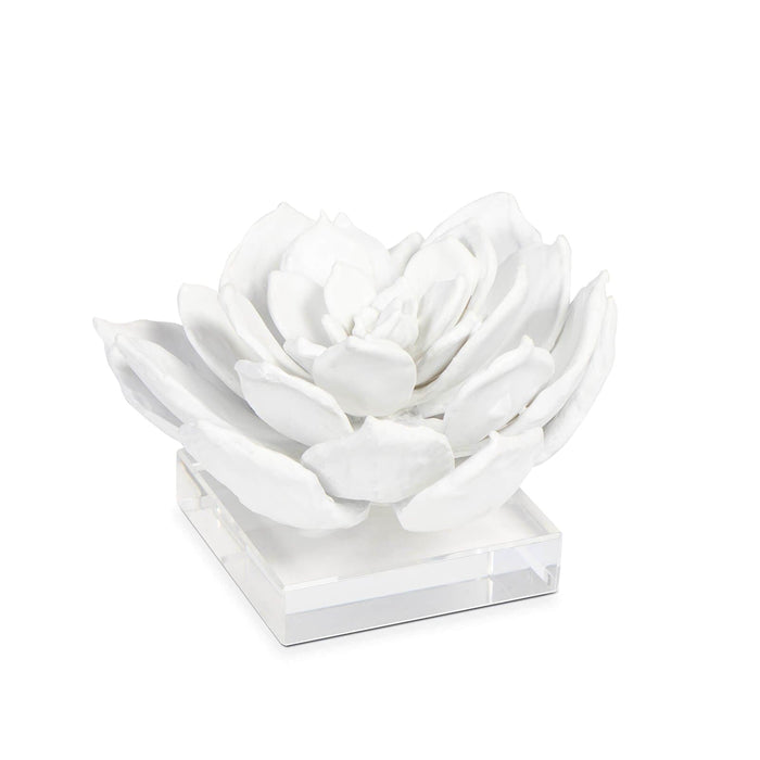 Matte white succulent resin sculpture on a clear acrylic base, 5" tall.