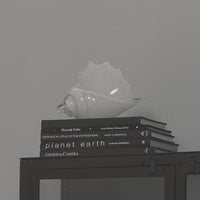 Triton Shell White Blown Glass - Detail View | Bone & Brass