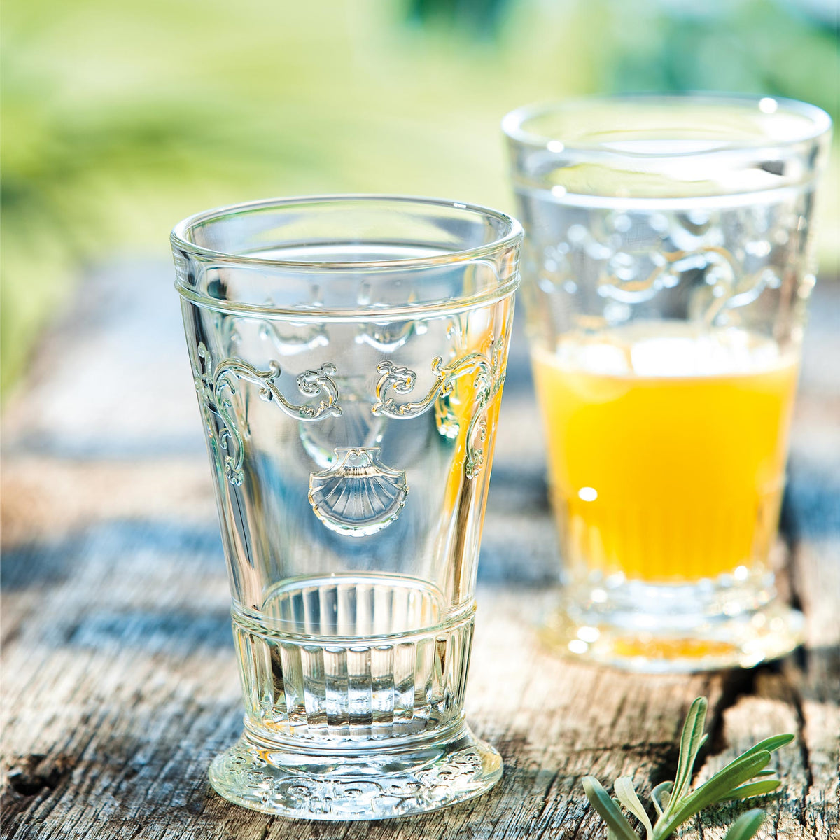 Versailles Ice Tea Glass Set-6 - Tumbler Detail | Bone & Brass
