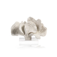 Kali Coral Sculpture on Acrylic Base, White