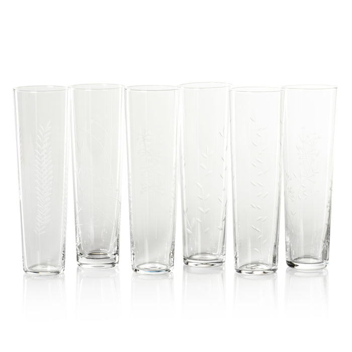 Assorted Botanical Etched Flutes, Set of 6