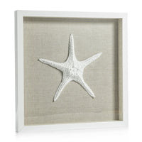 Arlo White Framed Starfish Wall Décor