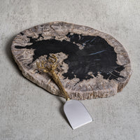 Brasilian Black & Natural Petrified Wood Cheese Board