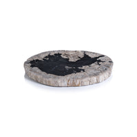 Brasilian Black & Natural Petrified Wood Cheese Board