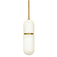 Salon Pendant Natural Brass