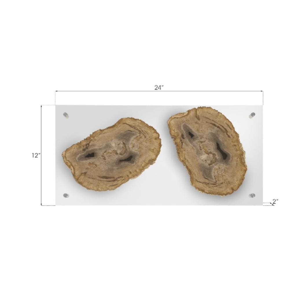 Floating Petrified Double Slice Wall Art