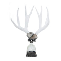 Double Large Geode Antler Bottle