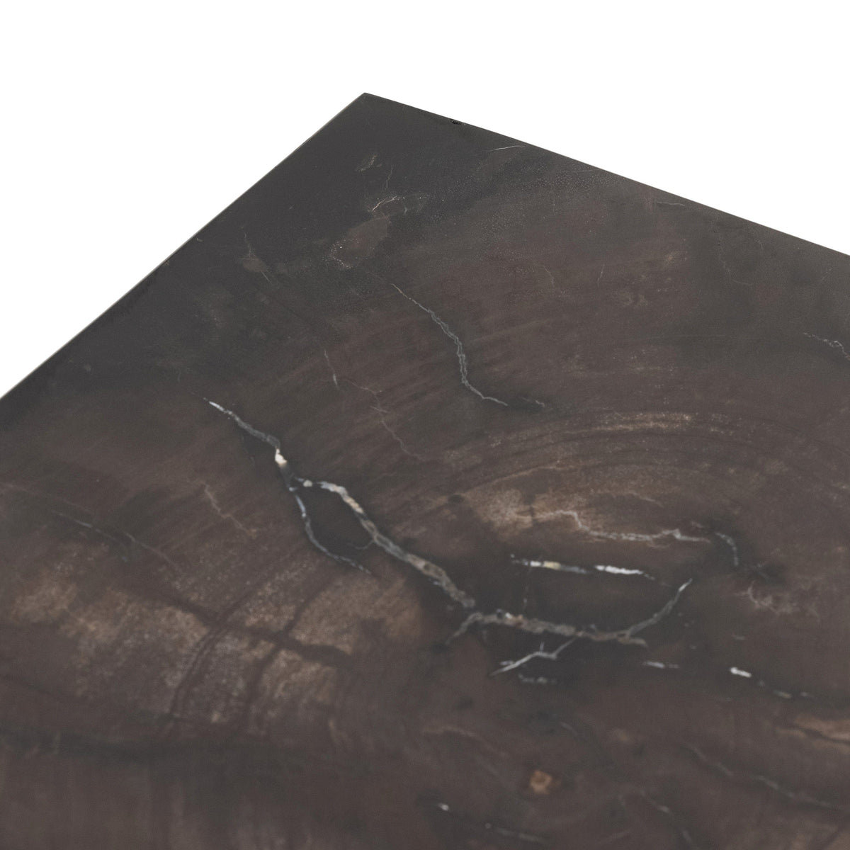 Caleb Petrified Wood End Table