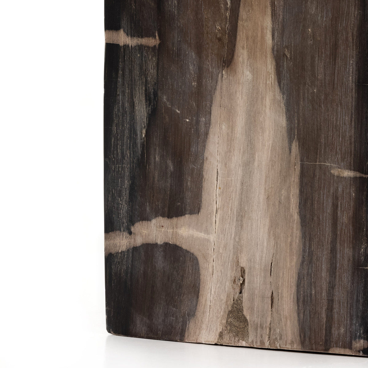 Caleb Petrified Wood End Table